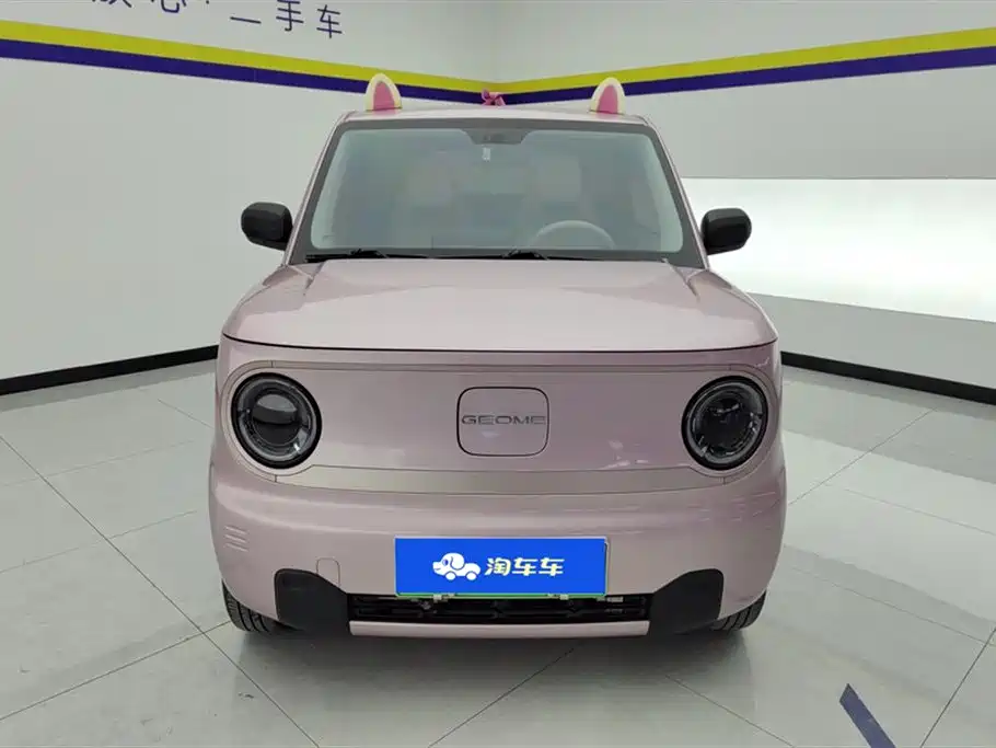 GEELY GALAXY PANDA
