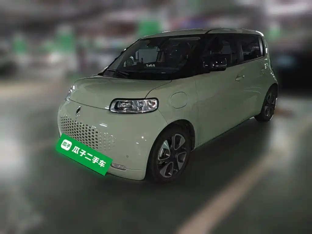 Ora White Cat 2021 2020 401km Flagship Model