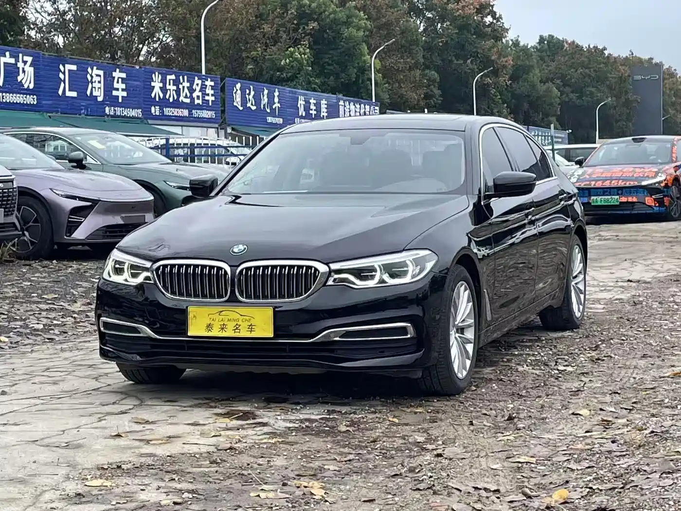 BMW 5 Series 2020 530Li Leading Luxury Package
