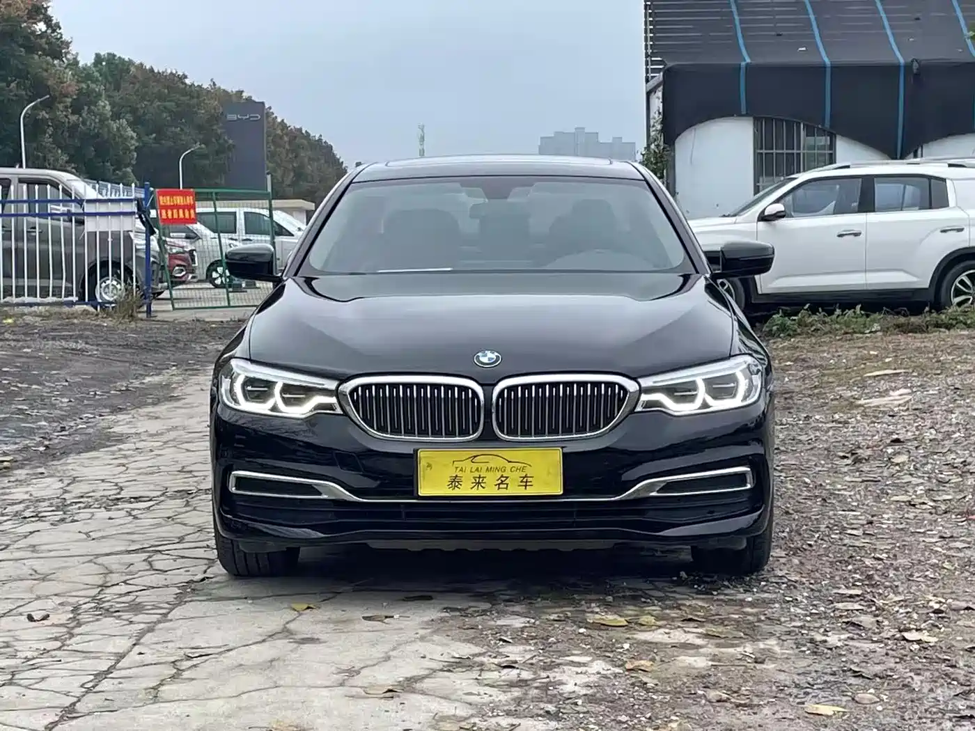 BMW 5 Series 2020 530Li Leading Luxury Package фото 2