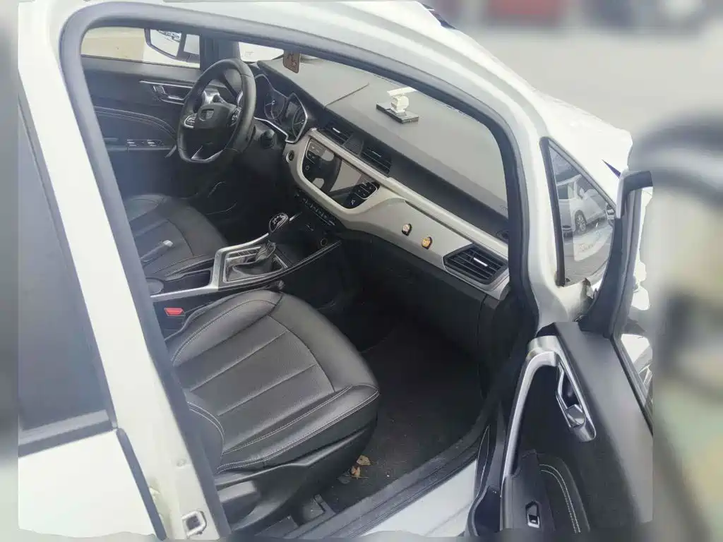 Фото 13 - Geely Vision X3