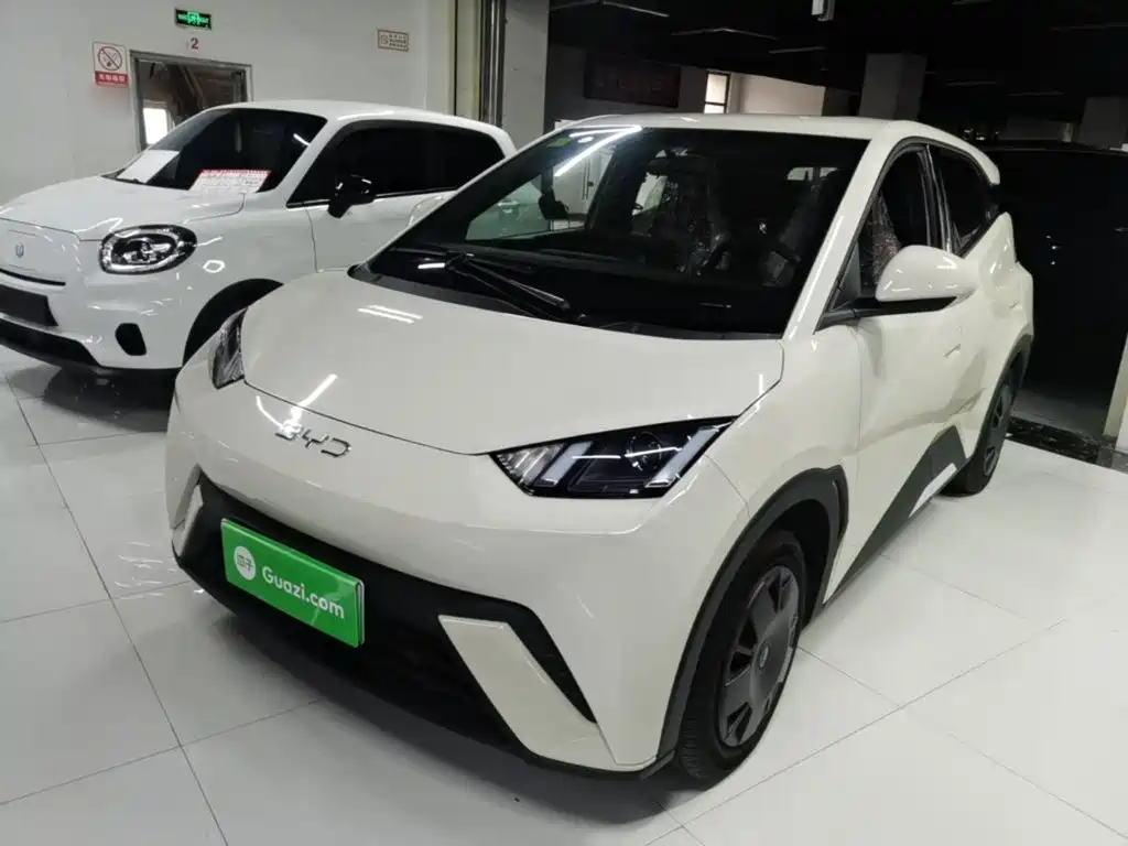 BYD Seagull 2025 — пригон из Китая