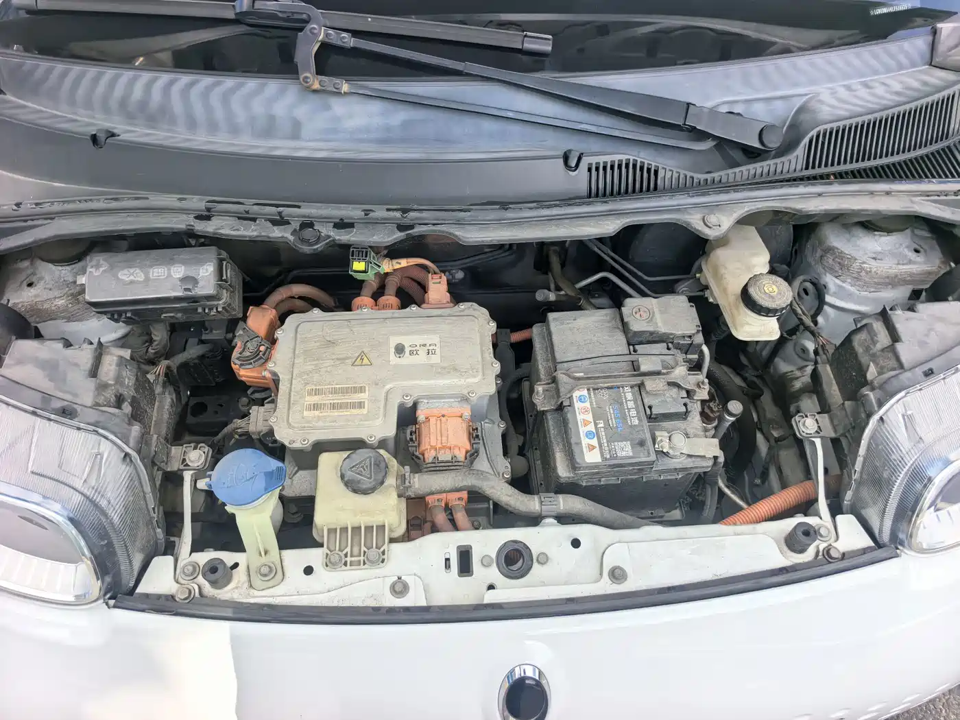 Ora White Cat 2020 2020 360km Standard Model