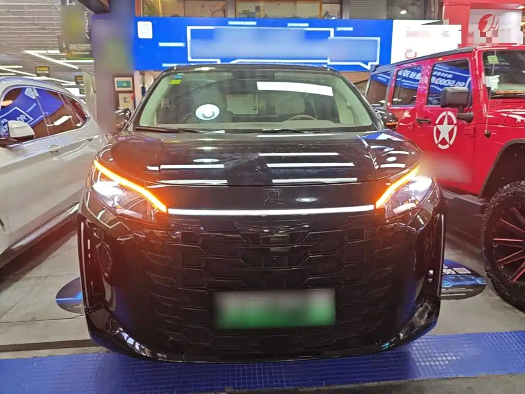 2025 BYD Xia