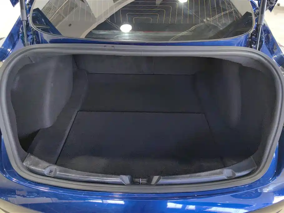 TESLA MODEL 3 (IMPORTED)