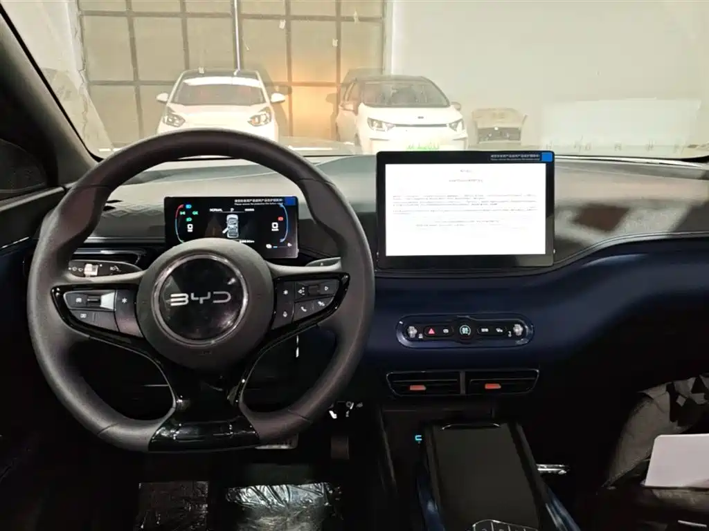 BYD Seagull 2025 Smart Drive Edition 305km Vitality Version фото 10