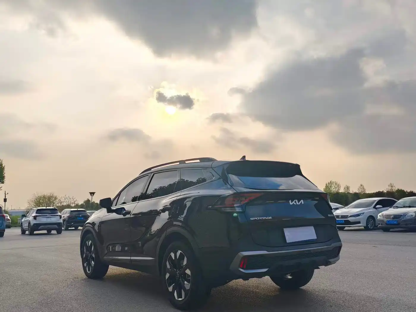 KIA LION PLATINUM EXPANDS THE WORLD
