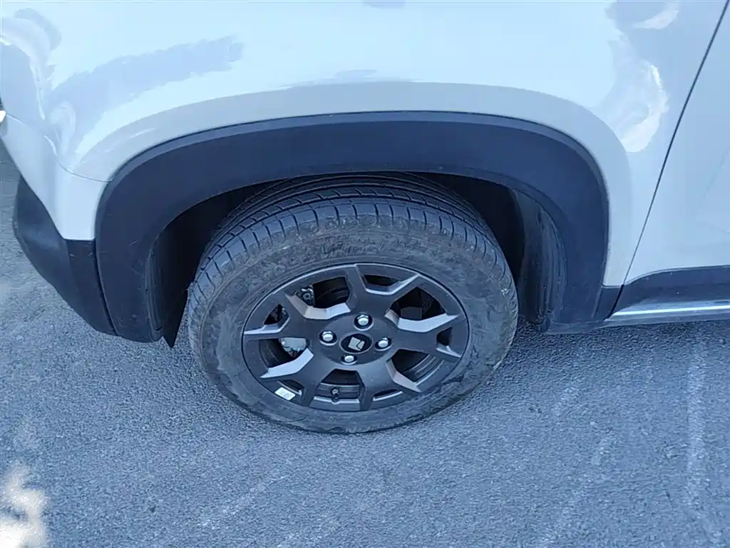 Baojun Yueye Plus 2025 2026 301km Flagship