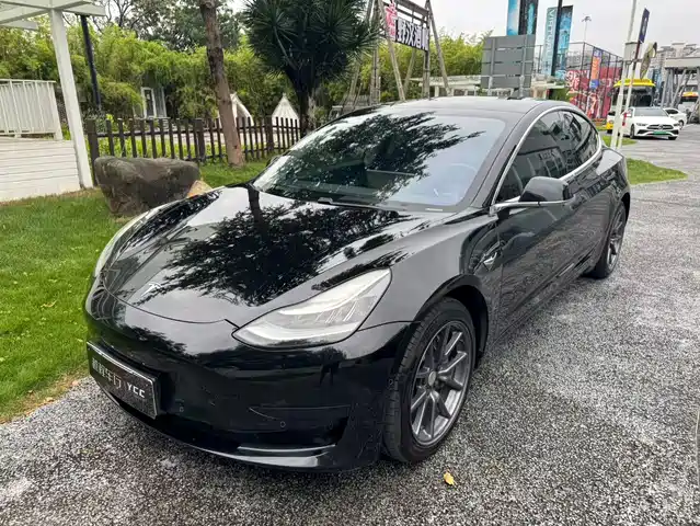 Tesla Model 3 2020 Standard Range Rear-Wheel Drive Upgrade