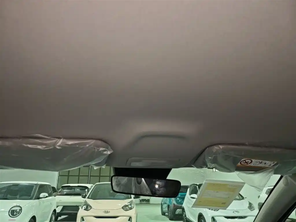 Geely Galaxy Starry Wish 2026 Edition 310km Youth Version фото 18
