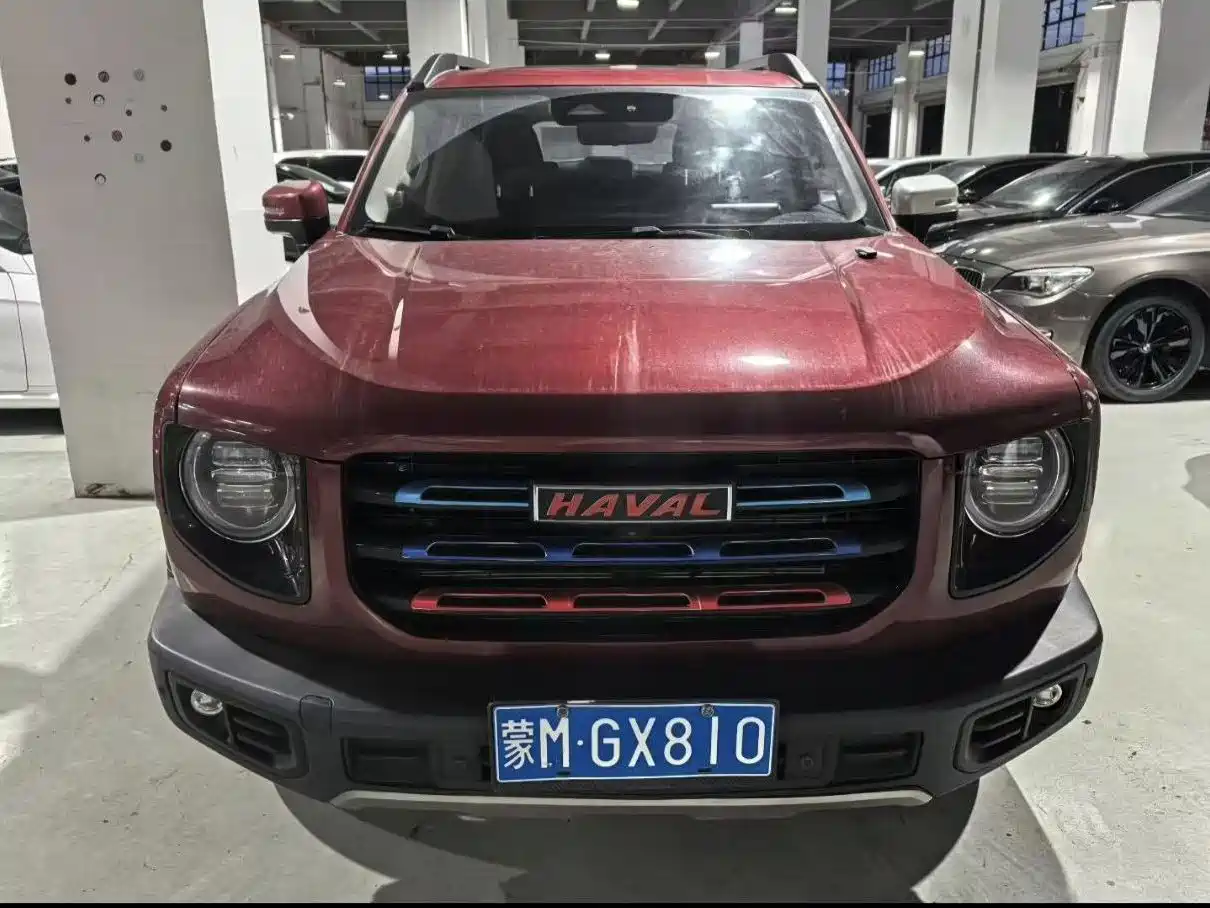 HAVAL BIG DOG