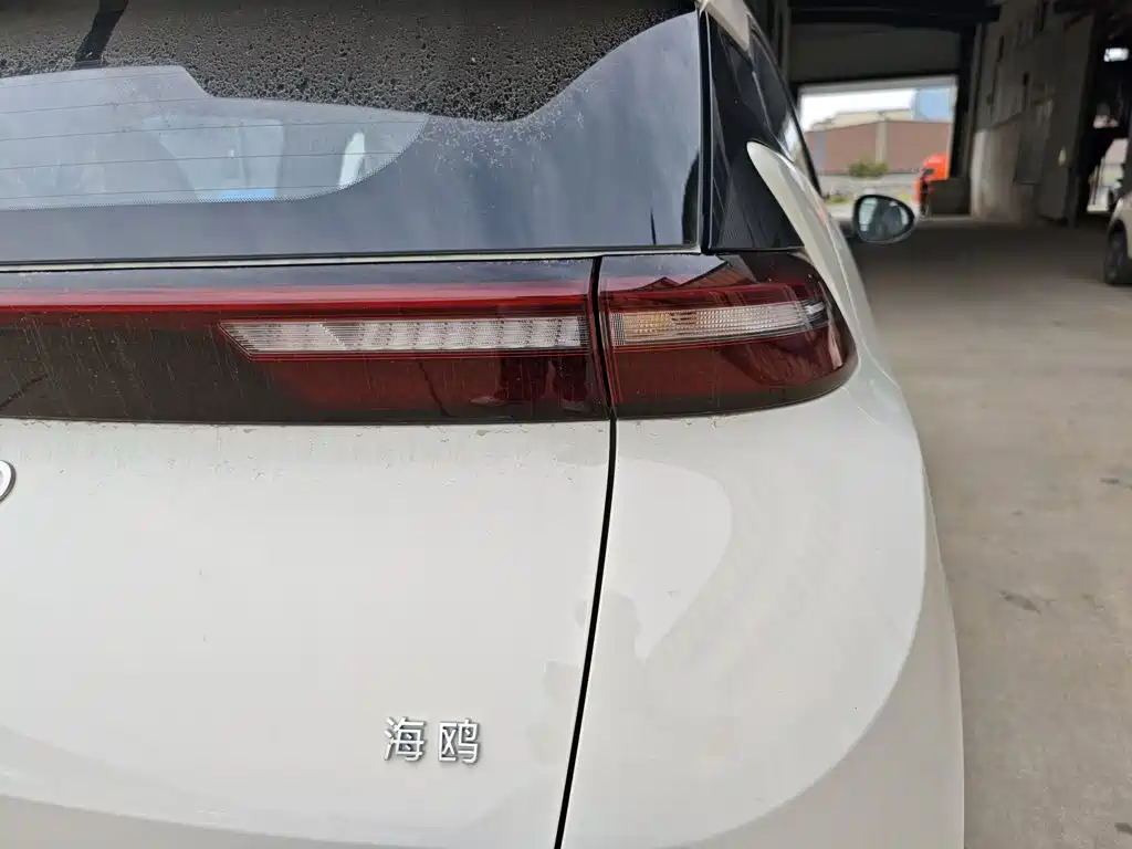 BYD Seagull 2026 2025 Smart Drive Edition 405km Free Edition