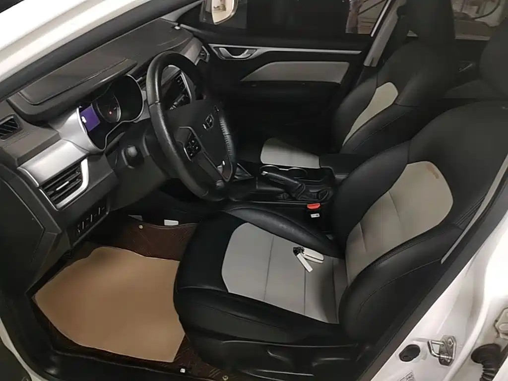 Фото 15 - Geely Vision