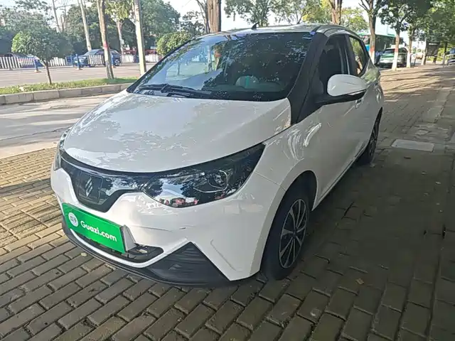  JMCG New Energy Little Kirin 2024 201km Comfort Model