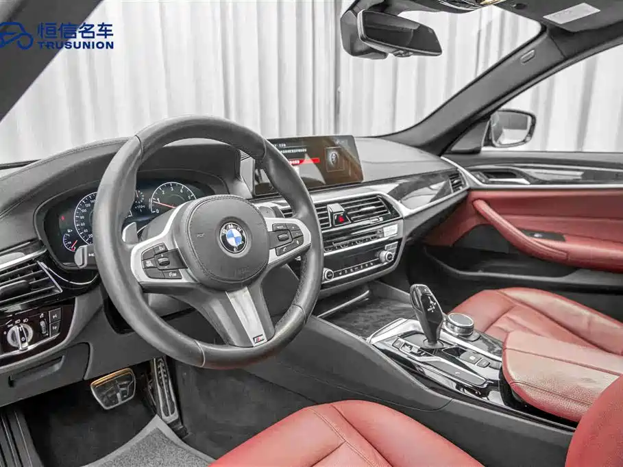 BMW 5 Series 2019 530Li Leading M Sport Package фото 12