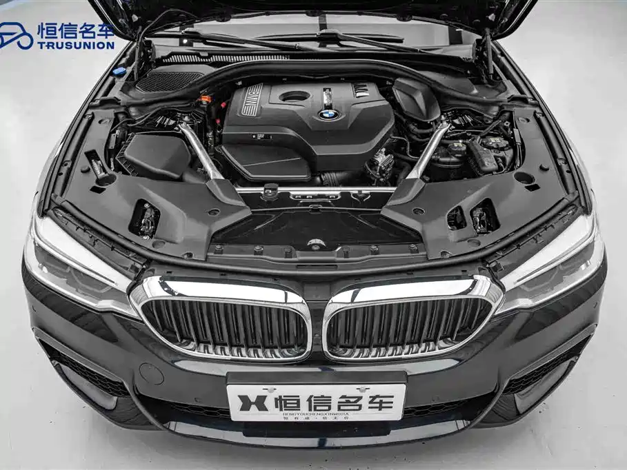 BMW 5 Series 2019 530Li Leading M Sport Package фото 21