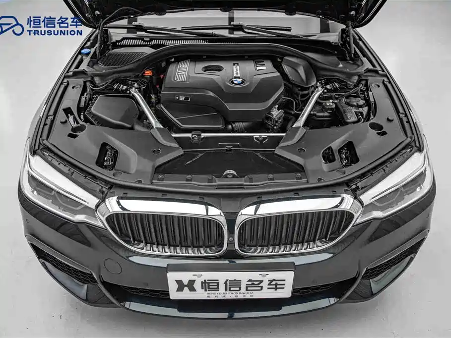 BMW 5 Series (Import) 2019 530i M Sport Package фото 21