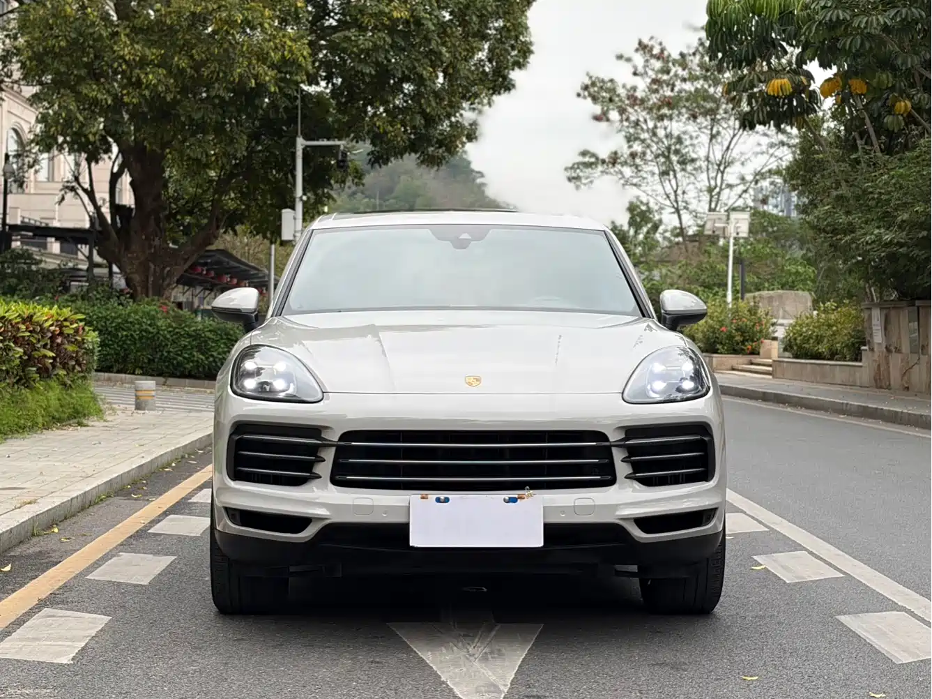 Porsche Cayenne 2018 Cayenne 3.0T фото 3