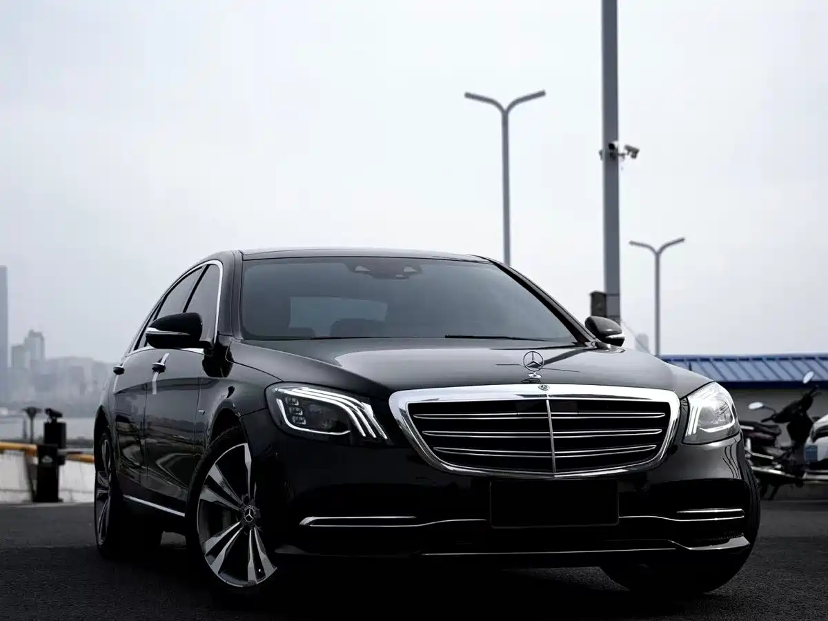 Mercedes-Benz S-Class 2020 S 350 L Premium Edition Collector's Version фото 2