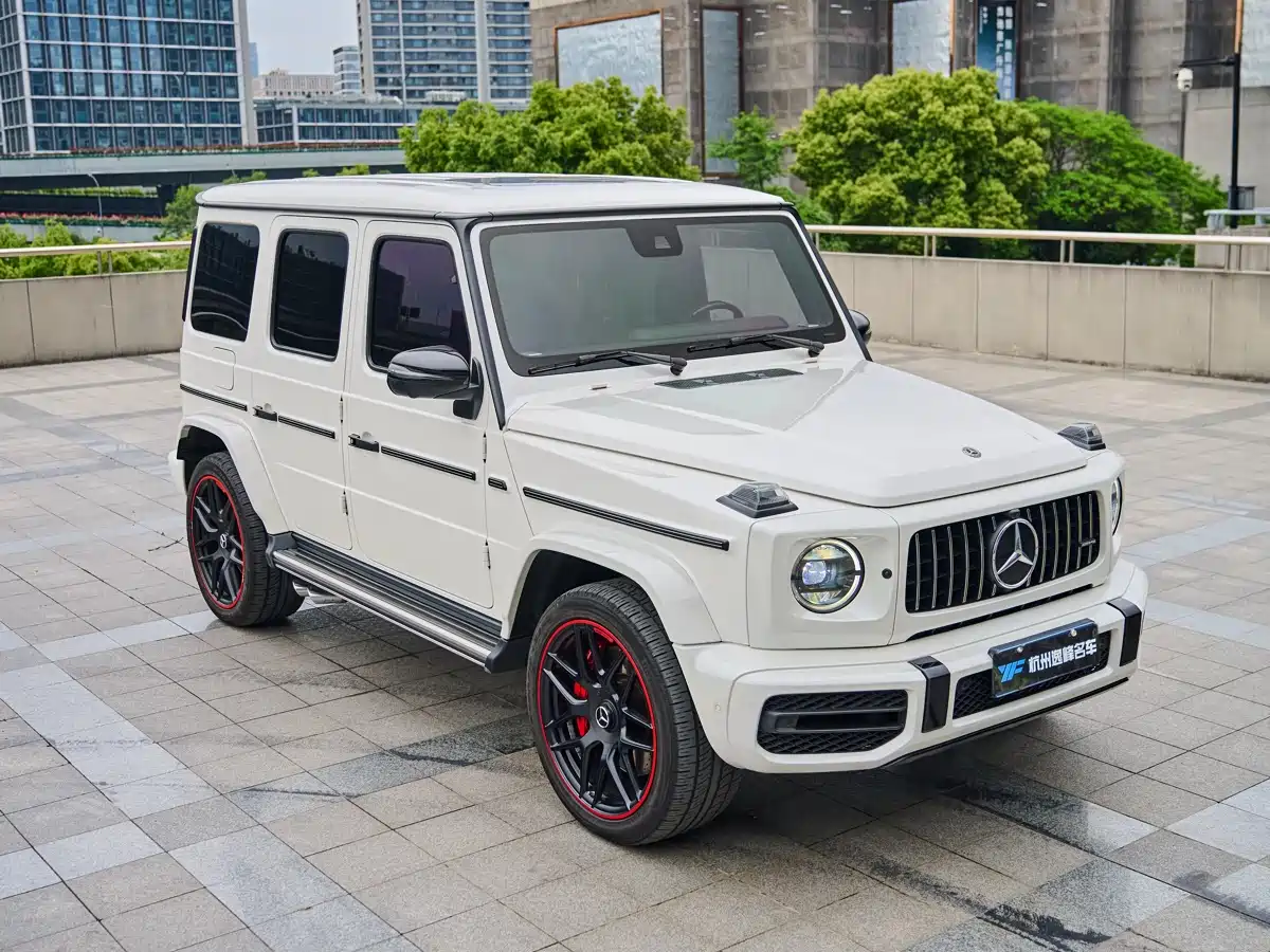 Mercedes-Benz G-Class 2019 G 500 фото 10