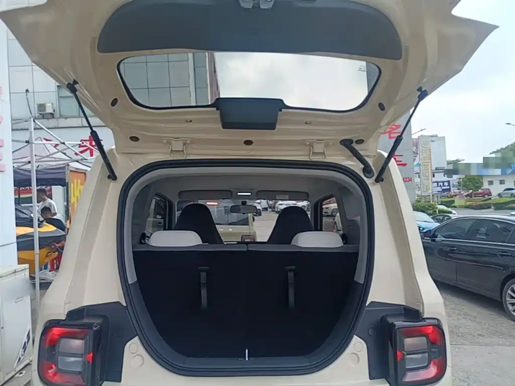 Geely Galaxy Panda 2025 Panda mini 210km Vitality Bear фото 19