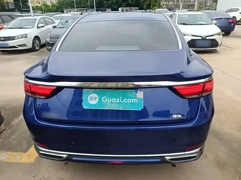 Geely Borui 2020 2021 1.8T Pilot Edition