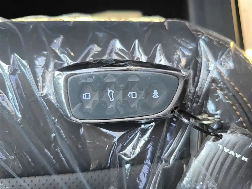 Haval Big Dog 2026 Model 1.5T High Configuration фото 9