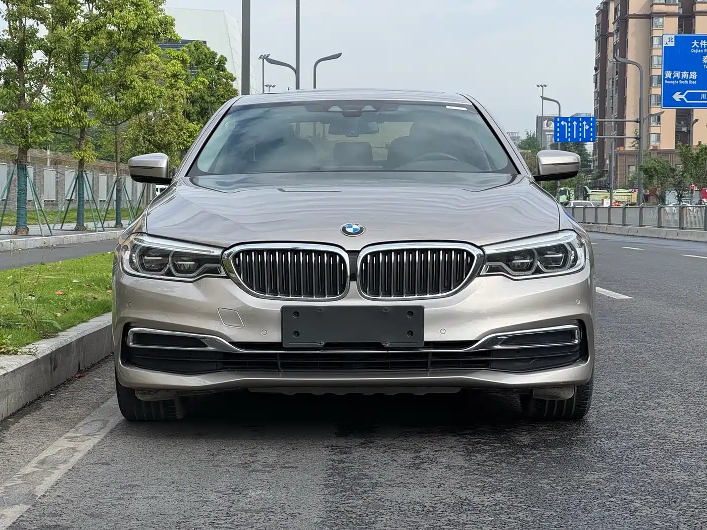 BMW 5 Series New Energy 2020 530Le Range Upgrade Luxury Package фото 2