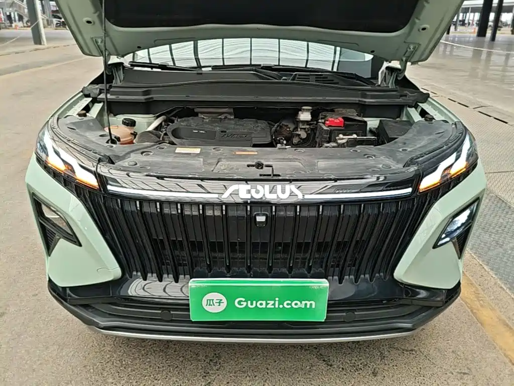 Фото 20 - Dongfeng Aeolus Haoji