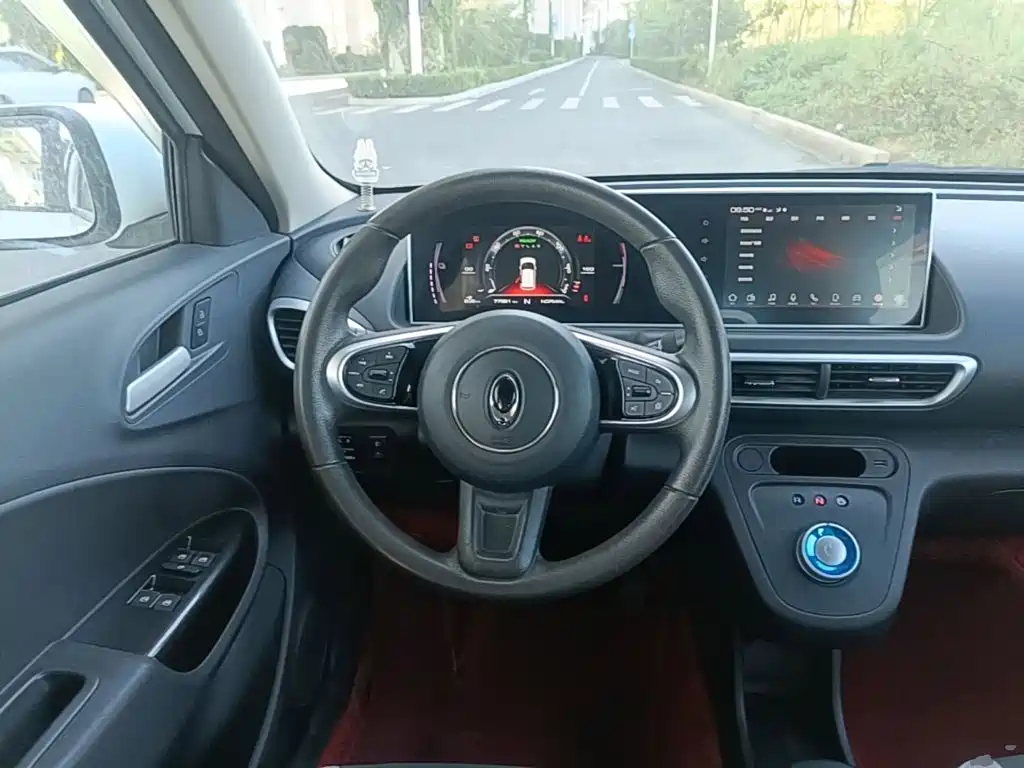 Ora White Cat 2020 2020 305km Luxury