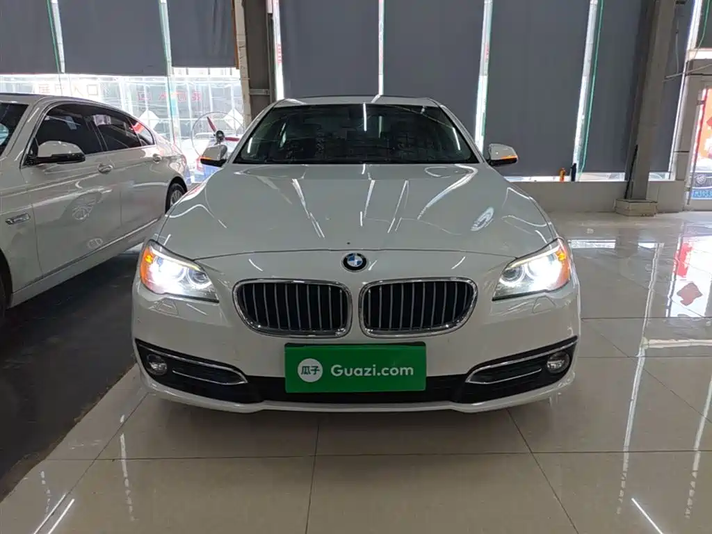 BMW 5 Series 2014 525Li Luxury Design Package фото 3