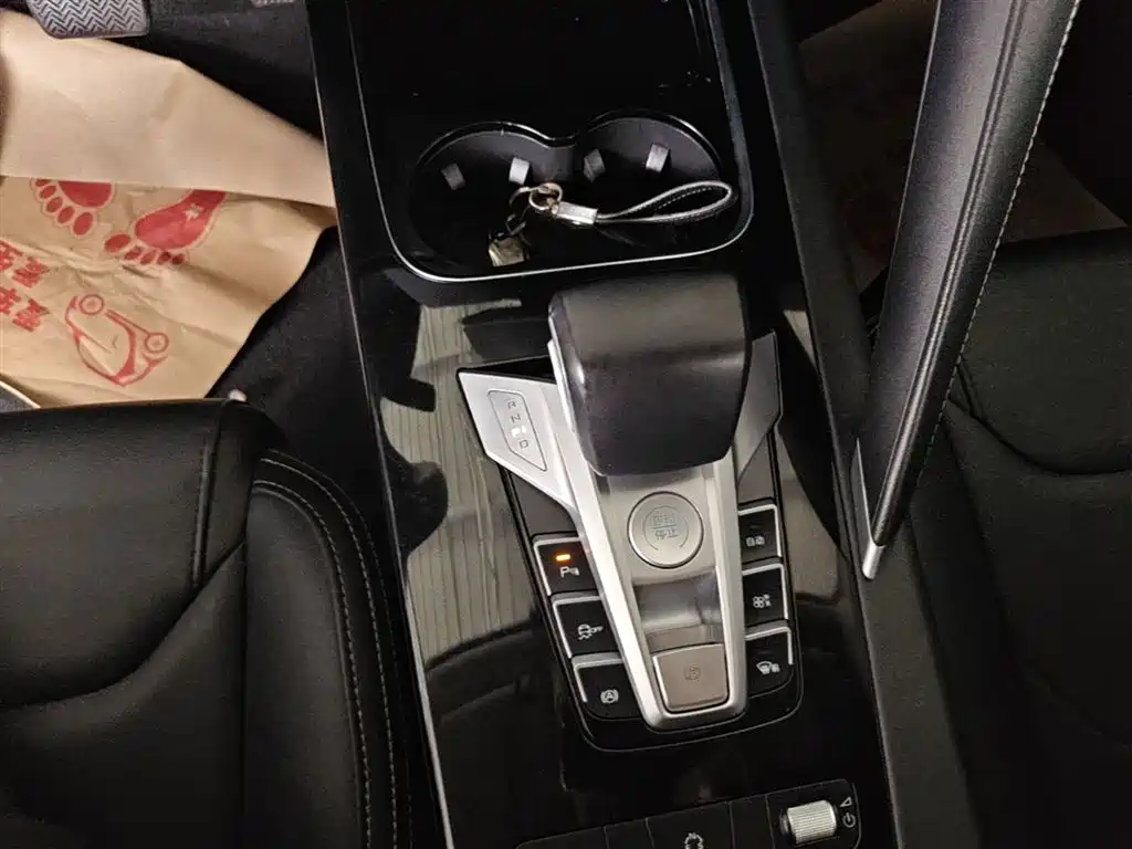BYD Song Pro 2019 1.5T Automatic Elite фото 14