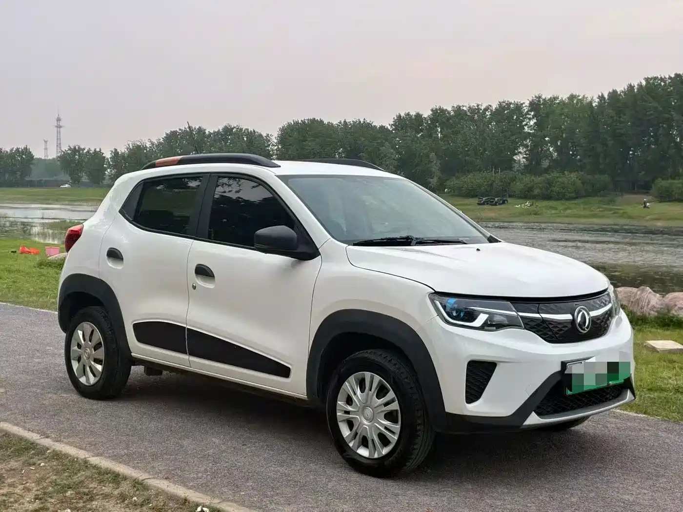 2022 Dongfeng Yipai Dongfeng Nano EX1