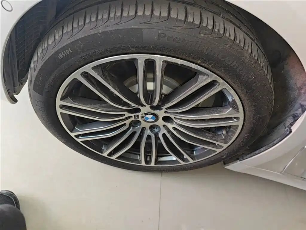 BMW 5 Series 2019 530Li Leading M Sport Package фото 23