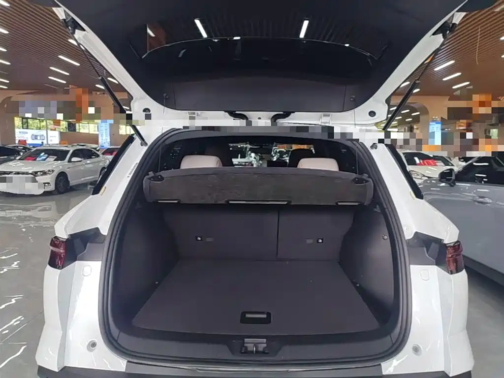 BYD Song Pro New Energy 2024 Glory Edition DM-i 71KM Leading фото 19
