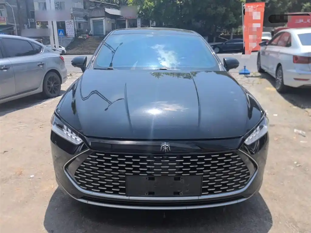 BYD Qin PLUS 2023 Champion Edition DM-i 55KM Surpassing фото 3