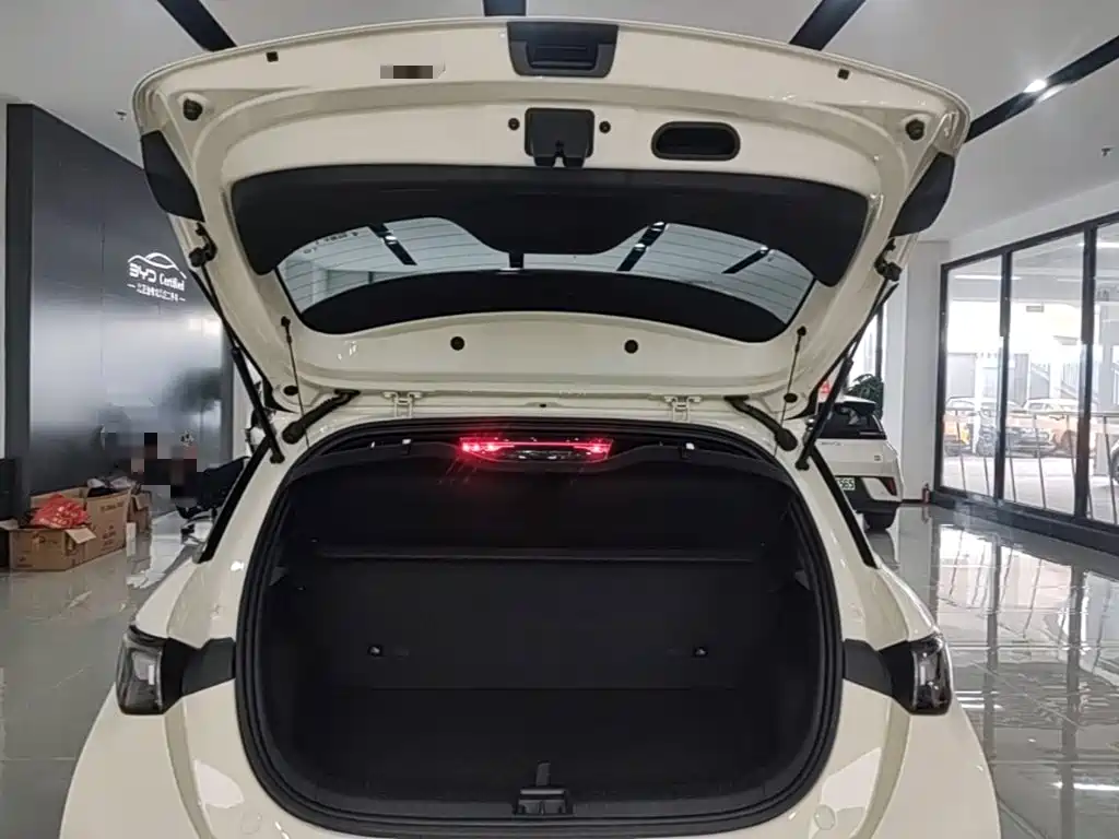 BYD Dolphin 2026 2025 420km Freedom Edition