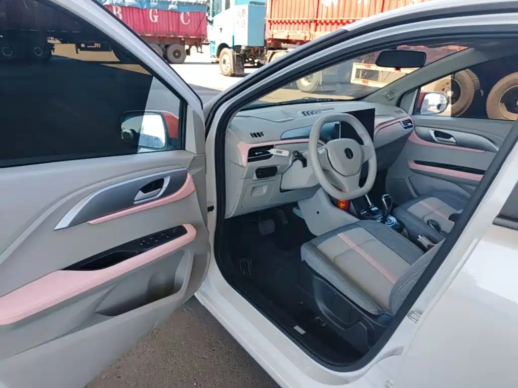 JMCG New Energy Yizhi EV3 2024 2024 Youth Edition 330KM Comfort