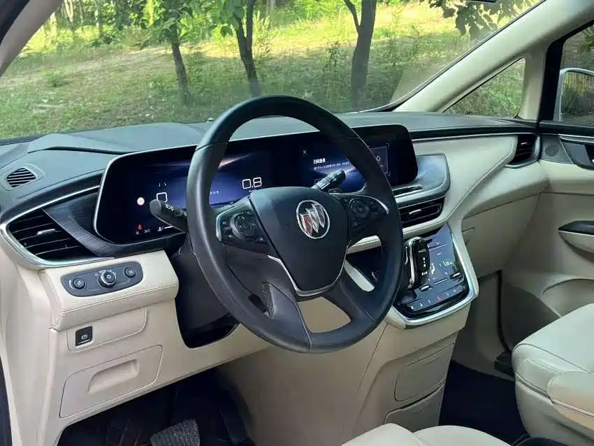 Buick GL8 2023 ES Landmaster Luxury фото 9