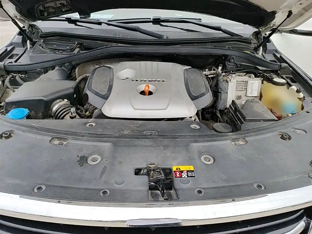 Haval H8 2015 2.0T 2WD Luxury фото 20