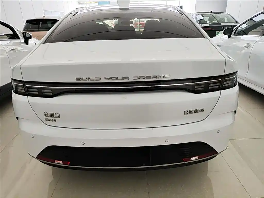 BYD Destroyer 05 2024 Glory Edition DM-i 55KM Luxury фото 6