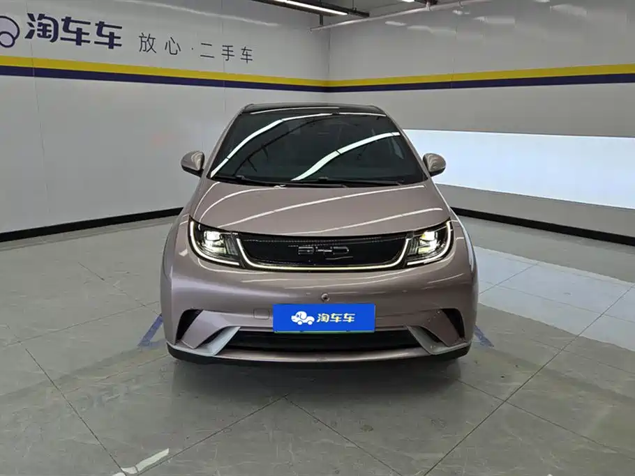 BYD DOLPHIN