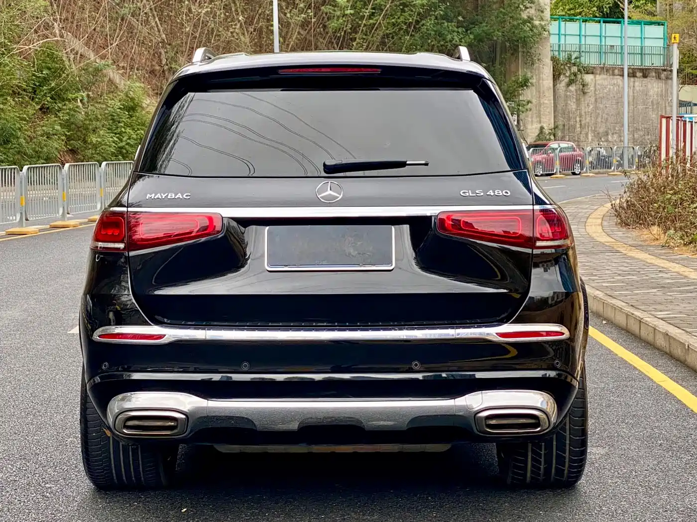 Mercedes-Benz Maybach GLS 2021 GLS 480 4MATIC фото 6