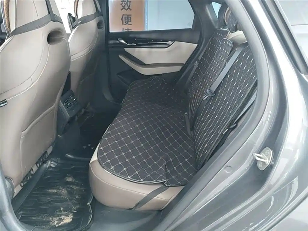 BYD Qin PLUS 2024 Glory Edition DM-i 55KM Leading фото 17