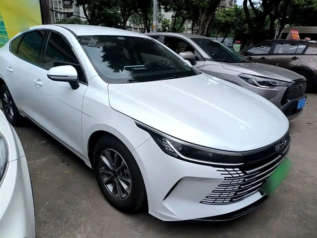 BYD Destroyer 05 2024 Glory Edition DM-i 55KM Luxury фото 4