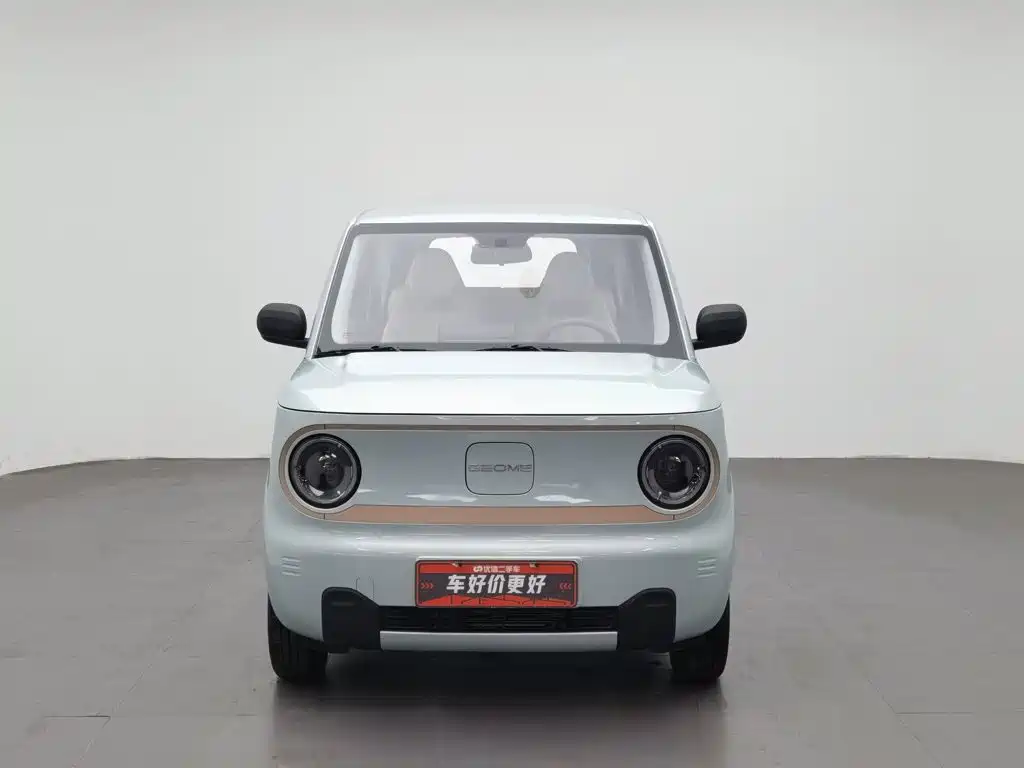 Фото 3 - Geely Galaxy Panda