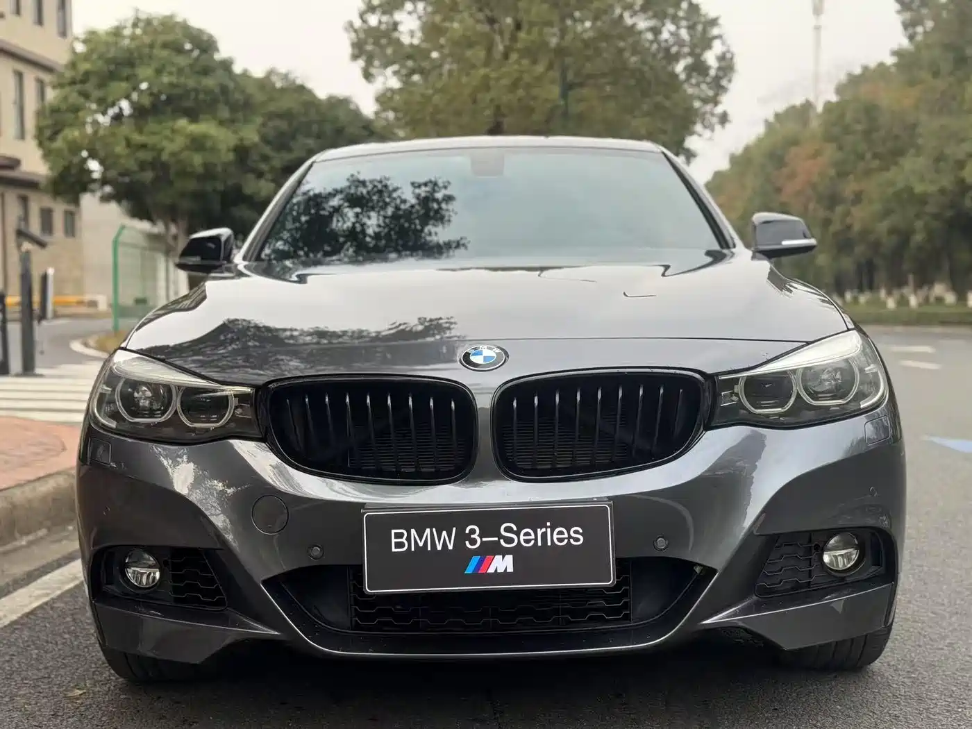 BMW 3 Series GT 2017 320i M Sport фото 2