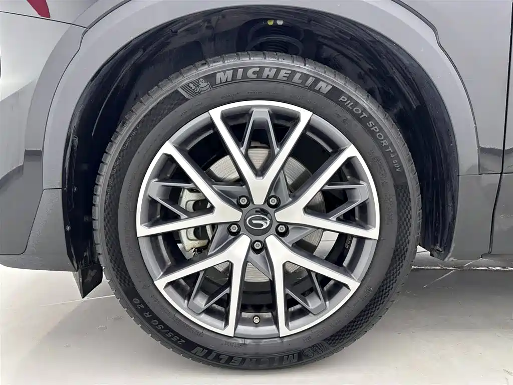 GAC Trumpchi Trumpchi GS8 2025 Pilot Series 2.0TGDI 2WD Luxury Edition 5-seater фото 29