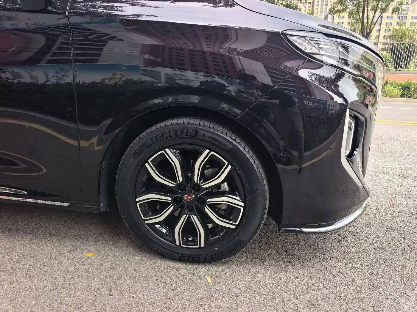 Hongqi HQ9 2023 2023 2.0T Smart Connect Flag Smooth Edition