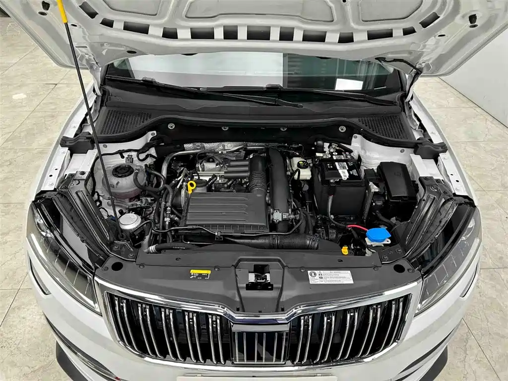 Škoda Karoq 2023 TSI280 Luxury Edition фото 21